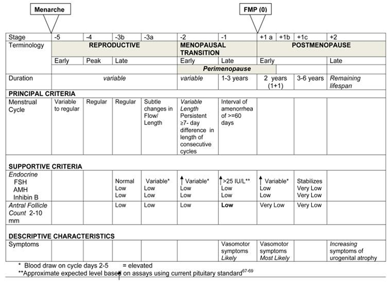 The Stages of Reproductive Aging Workshop (STRAW +10) criteria